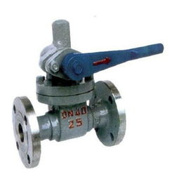 诚意阀门加盟指南 开启阀门连锁加盟店的投资与机遇